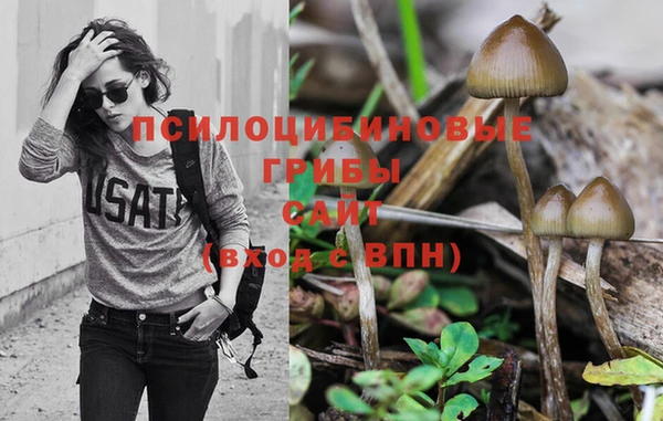 PSILOCYBIN Балахна