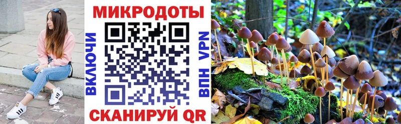 где найти   Сердобск  Галлюциногенные грибы мицелий 